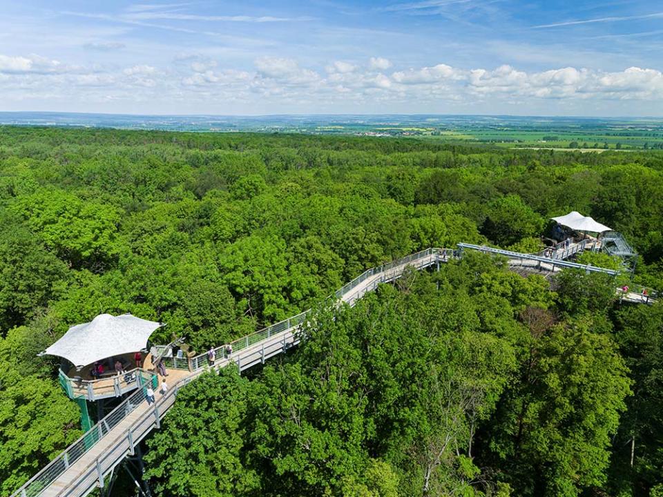 海尼希國家公園（Photo by Martin Zwick/REDA&CO/Universal Images Group, Image Source : Getty Editorial）