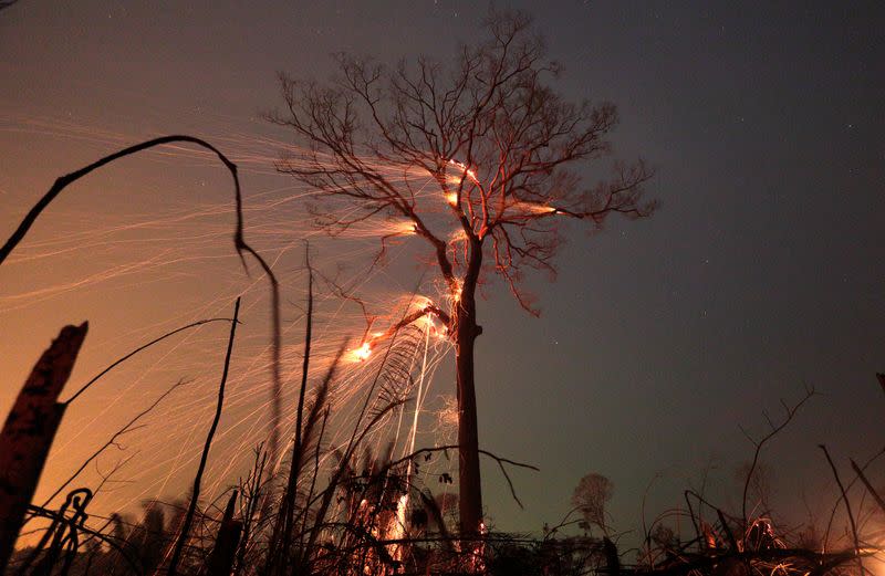 Pictures of the Year: Fires in the Amazon: a barrier to climate change up in smoke