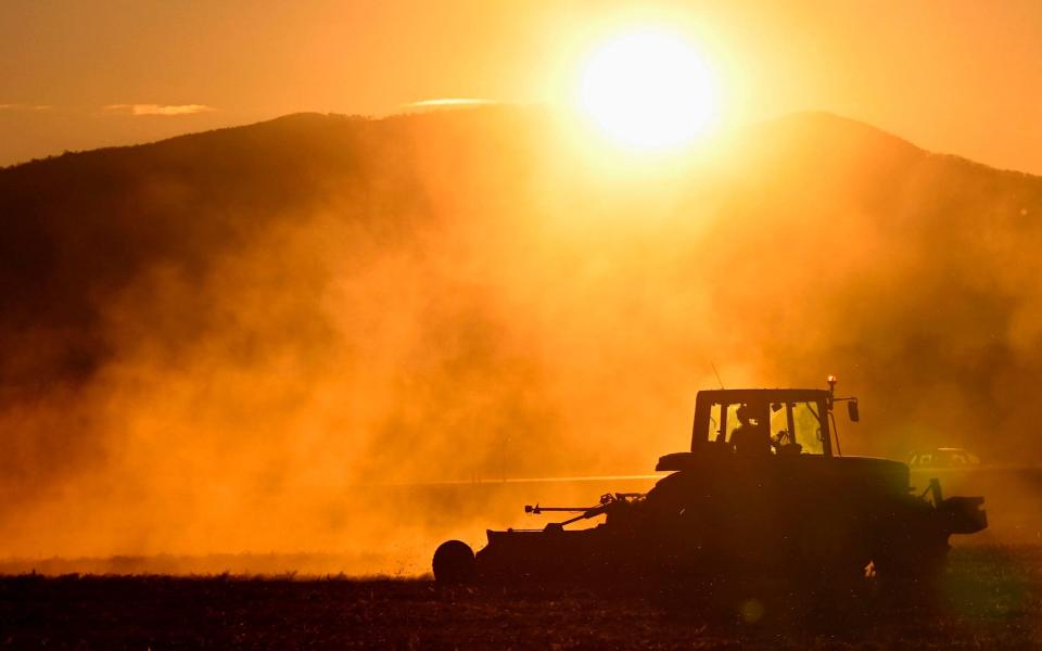 A man drives a tractor in a field - AFP/ SEBASTIEN BOZON