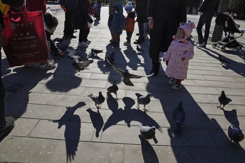 A Chinese child looks up near pigeons at a park in Beijing, China, Thursday, Jan. 13, 2022. The number of babies born in China continued to shrink last year in a decade-long trend, official data showed Monday, Jan. 17, as a declining workforce adds pressure to the ruling Communist Party's ambitions to boost national wealth and global influence. (AP Photo/Ng Han Guan)