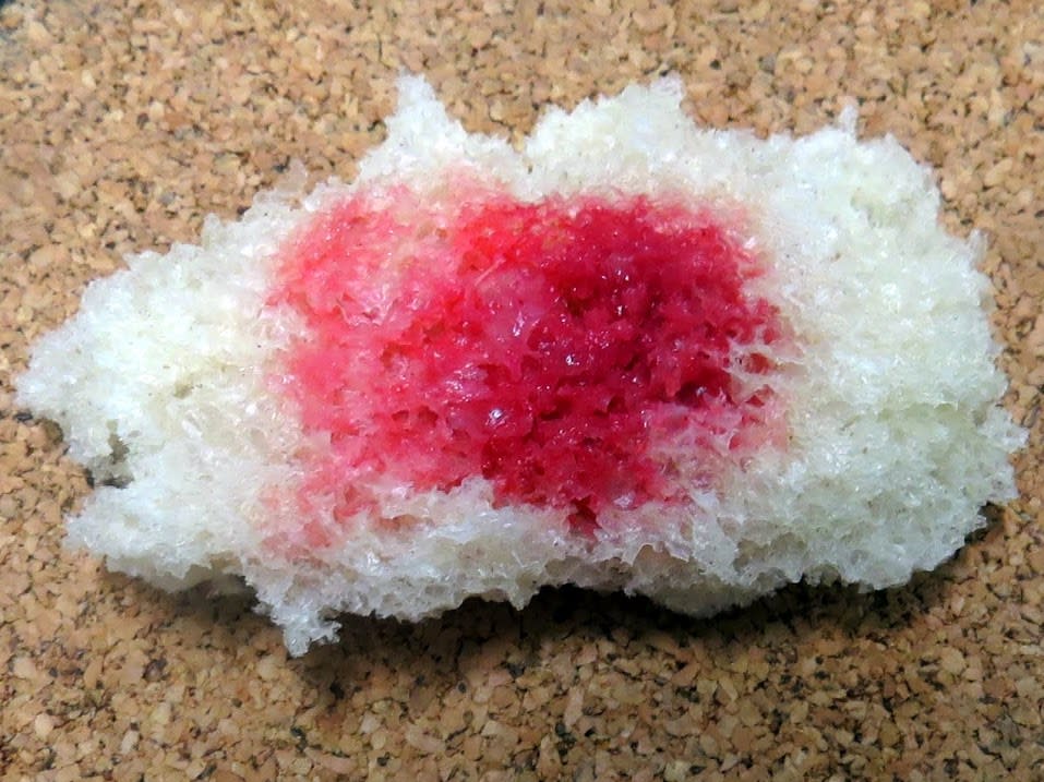 Bloody_bread_ _Serratia_marcescens_in_action.JPG