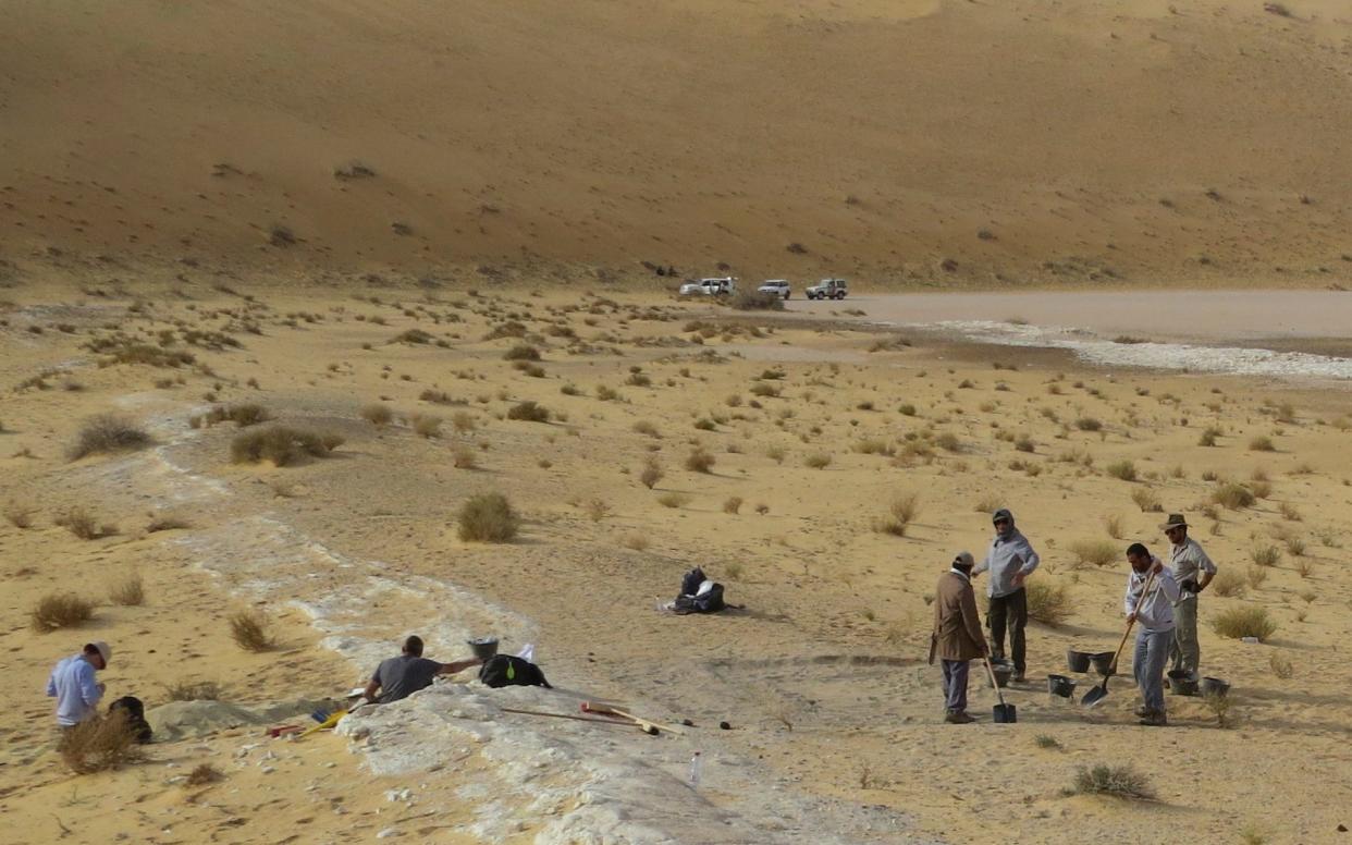 The find could rewrite the history of mankind’s journey out of Africa