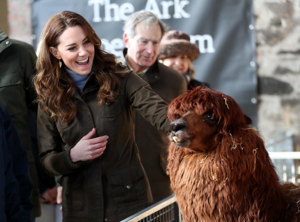 NEWTOWNARDS, NORTHERN IRELAND - FEBRUARY 12: Catherine, Duchess of Cambridge strokes an alpaca as she visits The Ark Open Farm on February 12, 2020 in Newtownards, Northern Ireland. This visit is part of her Early Years Foundation Survey.  (Photo by Chris Jackson/Getty Images)