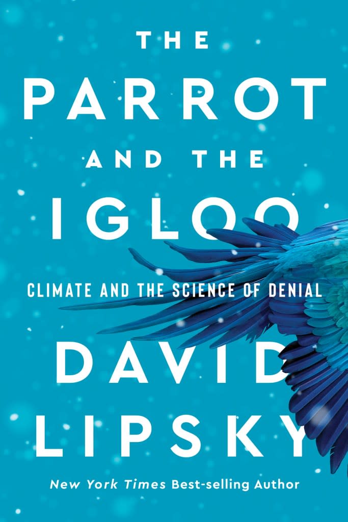 david lipsky parrot and the igloo