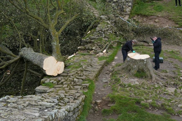 Forensic investigators from Northumbria Police visited the site on Hadrian's Wall