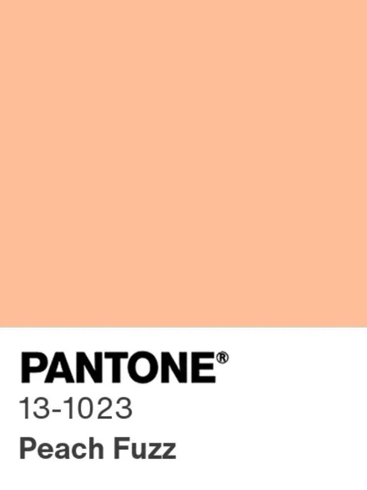 「柔和桃」為2024年度色 Source: Pantone