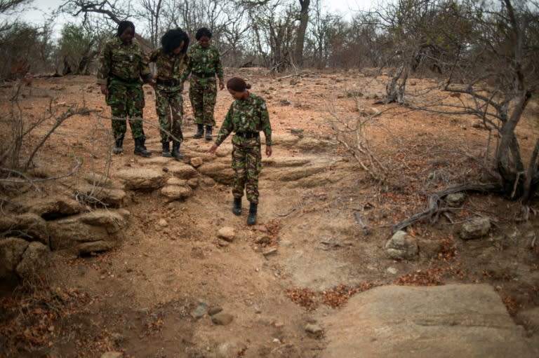 Female members of the anti-poaching team "Black Mambas" conduct a routine patrol through a wildlife reserve on September 25, 2016 in the Limpopo province of South Africa