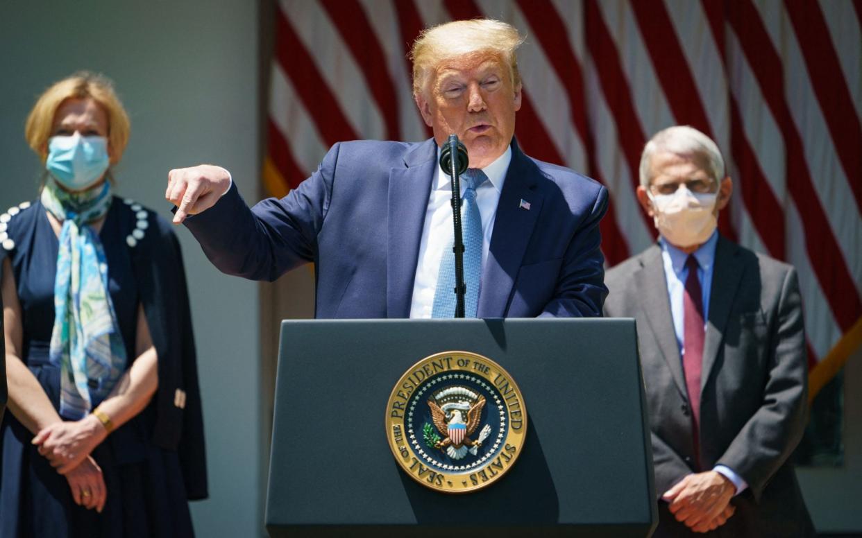 Donald Trump, flanked by Deborah Birx and Anthony Fauci - AFP