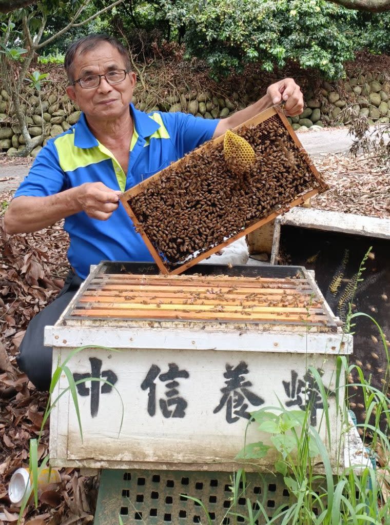 養蜂人許秋全，二十多年換來甜蜜滋味。（記者黃俊昇攝）