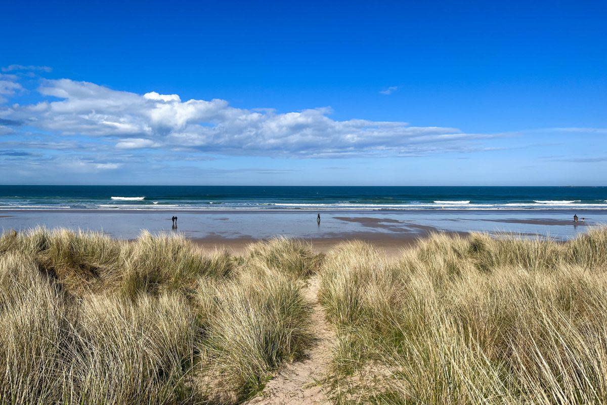Do you visit Bamburgh Beach often? Why it's one of the best coastal spots in the UK <i>(Image: Getty)</i>