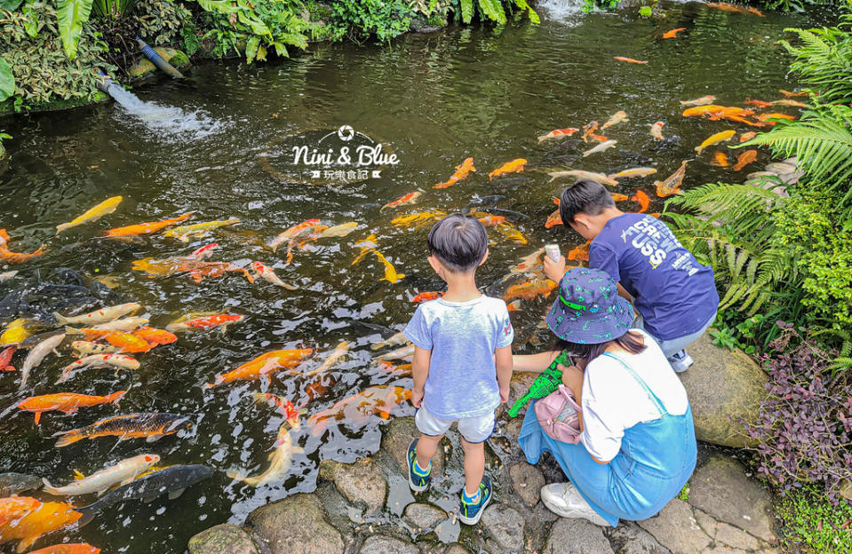 苗栗卓蘭｜花露農場