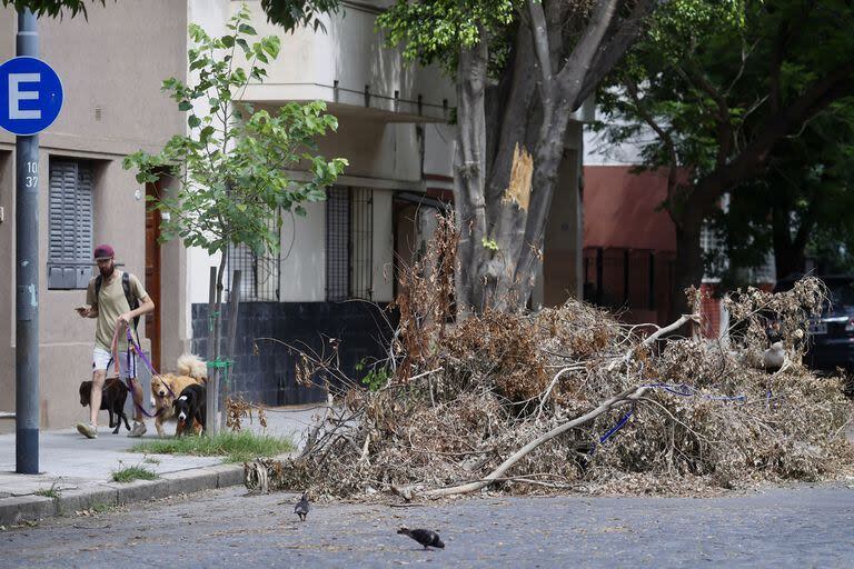 En la calle Terrada, en el barrio de Villa Pueyrredón, las ramas siguen en las veredas; ocurre lo mismo en Agronomía y Parque Chas, otras de las zonas más afectadas