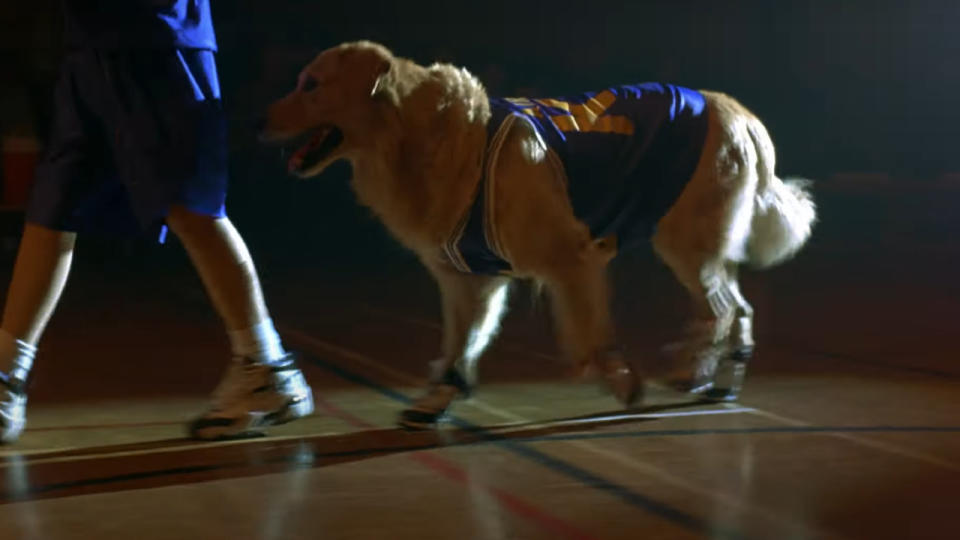 Air Buddy (Air Bud)