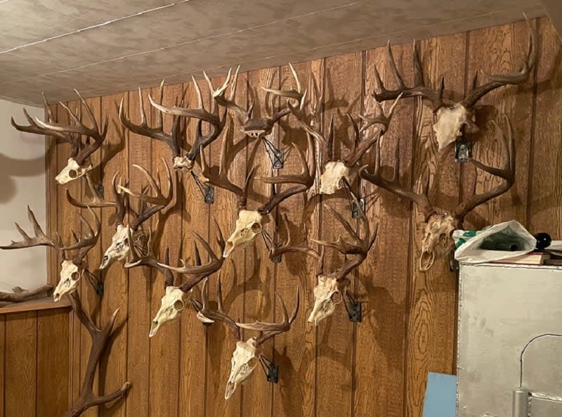 RCMP say more than a dozen sets of deer antlers were stolen from a property in Fort St. John, B.C.  (RCMP/Contributed  - image credit)