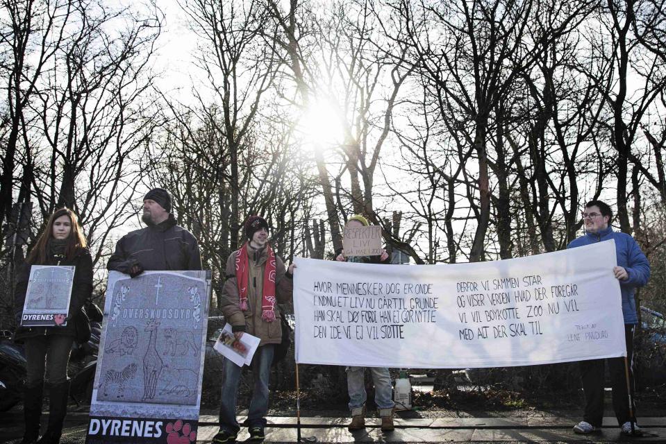 People hold signs during a protest against the killing of the giraffe Marius outside Copenhagen Zoo