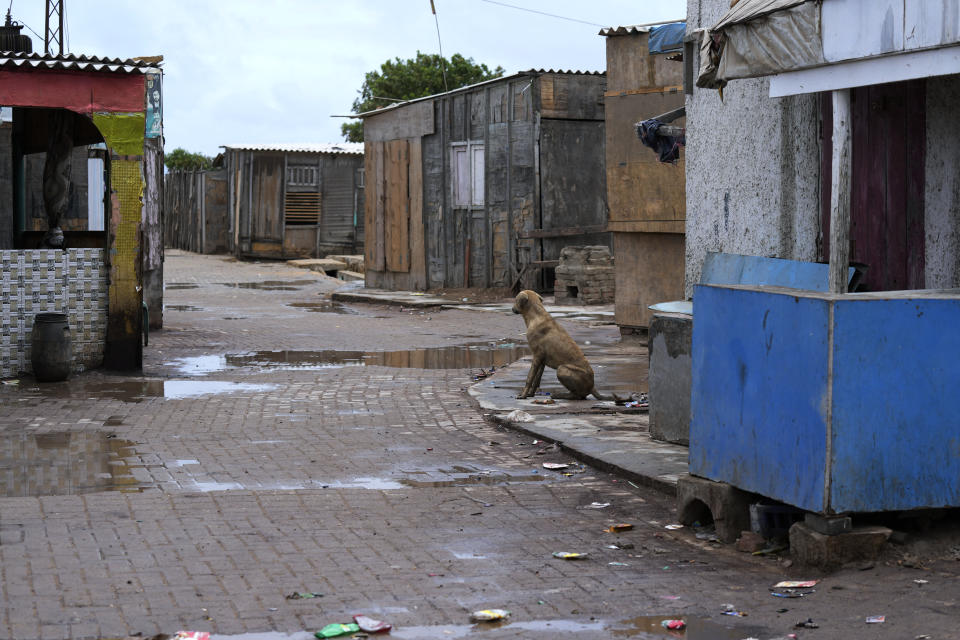 A stray dog sits in an empty market after people fled from coast area due to Cyclone Biparjoy approaching, in Keti Bandar near Thatta, Pakistan's southern district in the Sindh province, Wednesday, June 14, 2023. The coastal regions of India and Pakistan were on high alert Wednesday with tens of thousands being evacuated a day before Cyclone Biparjoy was expected to make landfall.(AP Photo/Fareed Khan)