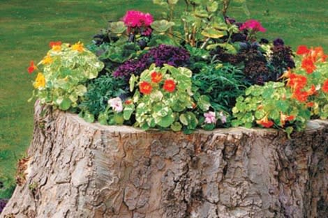 Tree Stump Planter