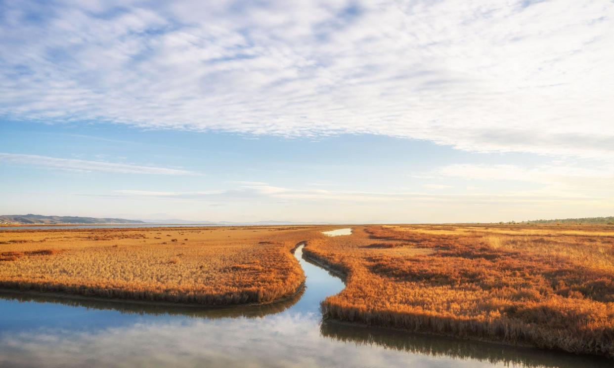 <span>Divjakë-Karavasta national park, two hours’ drive south of Tirana, is a lagoon ecosystem rich in biodiversity.</span><span>Photograph: Dmitriy Gura/Alamy</span>