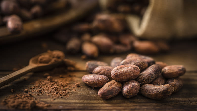 cocoa beans and cocoa powder