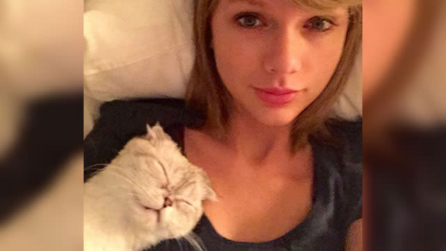 Taylor Swift is Buying Porn Sites Apparently