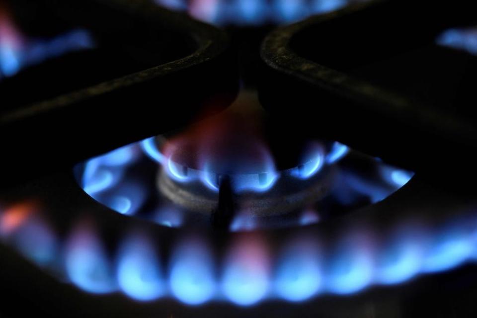 Die Bundesregierung macht wegen hoher Preise Druck auf die Gaswirtschaft.