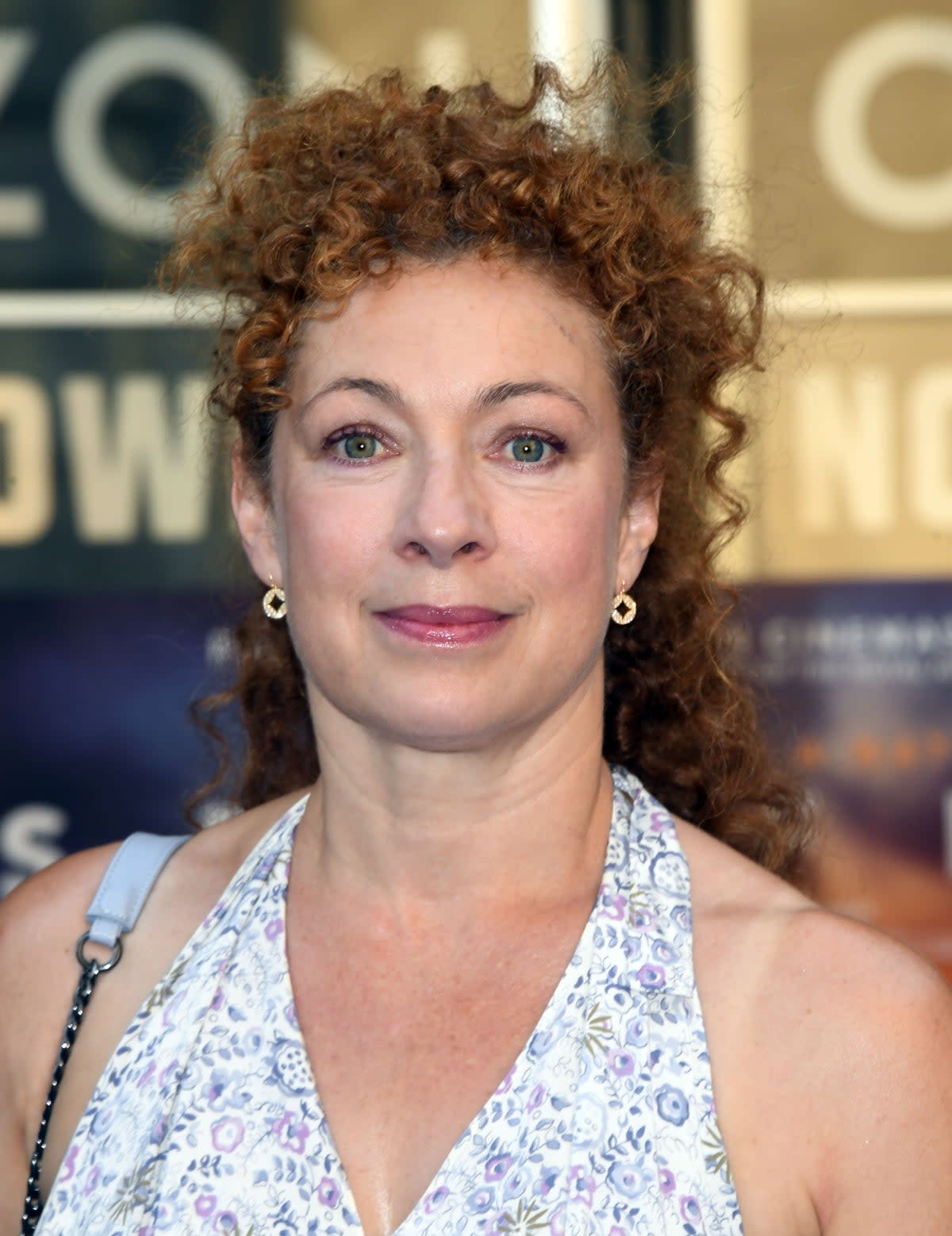 Alex Kingston pictured above (Getty Images)