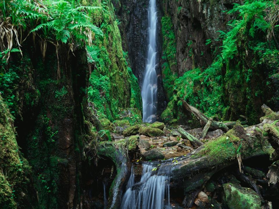 Watch the forces of Cumbria cascade this February (Photo by Jonny Gios on Unsplash)