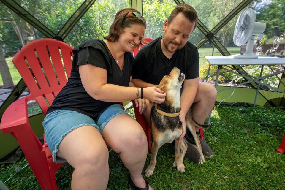 Amanda, left, and Greg Alloway give Mable some attention at their home in Conewago Township. Mable's right front paw was bitten by a Timber Rattlesnake and she received two anti-venom injections. 