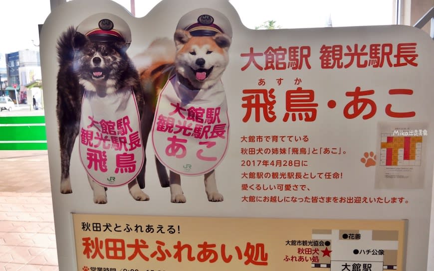 日本秋田｜秋田犬會館