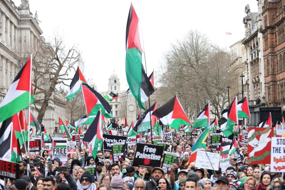 Thousands gathered to call for a ceasefire in the conflict between Israel and Hamas (Belinda Jiao/PA Wire)