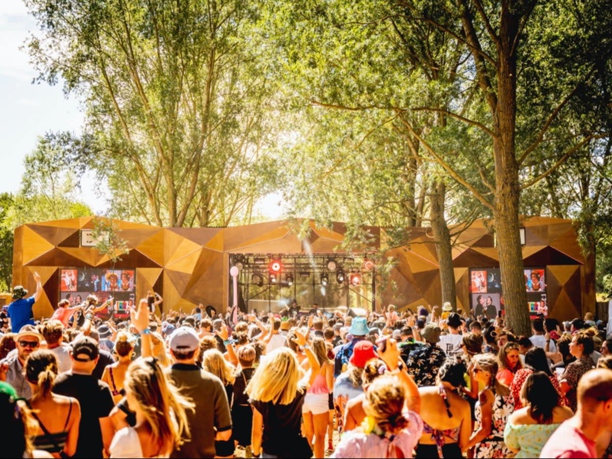 Revellers soak up the sunshine at last year’s Standon Calling (Sun Parri)