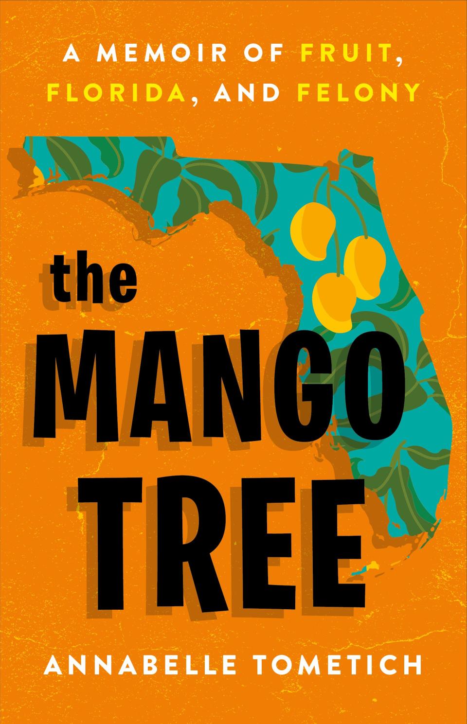 “The Mango Tree: A Memoir of Fruit, Florida, and Felony," due out in April 2024, is the first book by Annabelle Tometich, a Fort Myers native and former food, restaurant and dining journalist with The News-Press.
