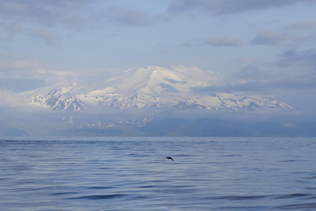 #Quake swarms at neighboring Alaska volcanoes raise concerns