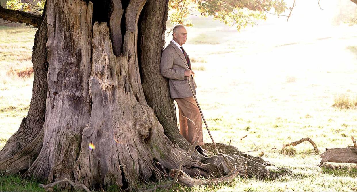 King Charles III standing beside an ancient oak tree in Windsor Great Park. (PA)