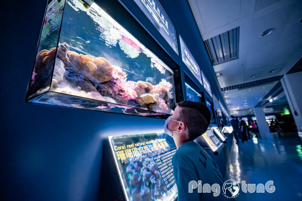 屏東農業科技園區觀賞水族展示廳