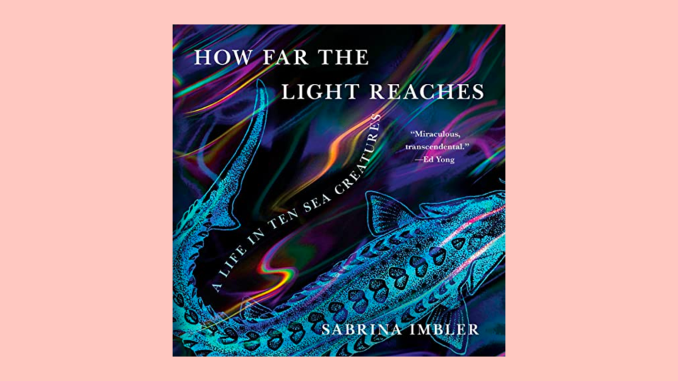 The best audiobooks to listen to this month: "How Far the Light Reaches" by Sabrina Imbler