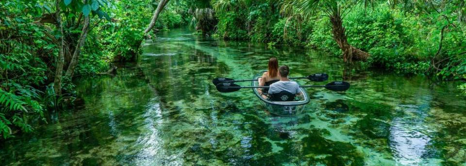 Kick back at one of Orlando's natural springs.