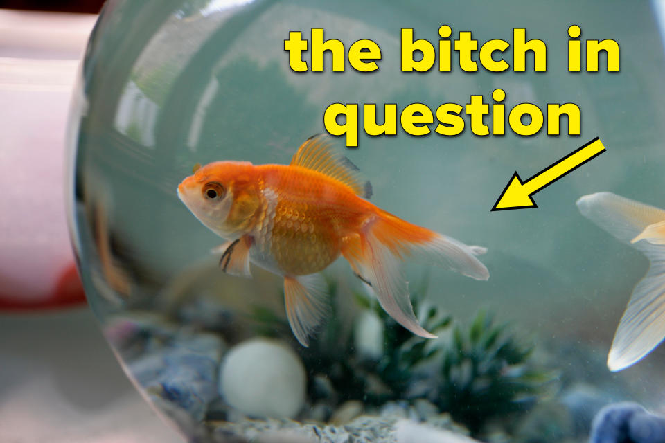 A goldfish swims in a glass bowl with plants and rocks at the bottom. Another goldfish is partially visible in the background