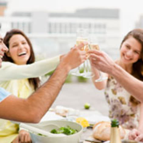 friends toasting wine glasses 