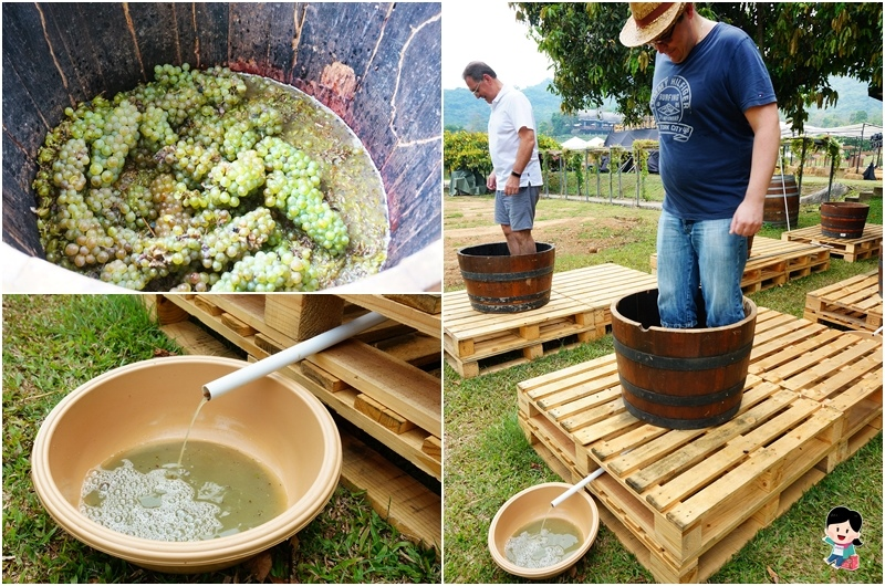 華欣景點.華欣旅遊.華欣自由行.華欣包車.華欣葡萄酒莊園.Monsoon Valley Vineyard.Hua Hin Hills Vineyard.The Sala Wine Bar&Bistro.