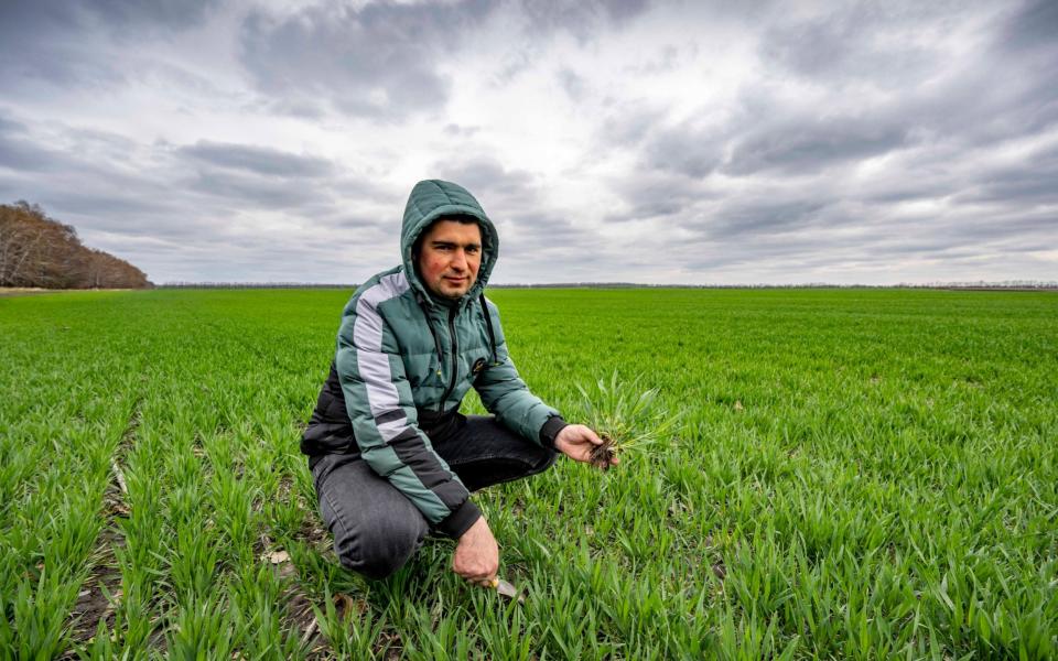 A farmer in a wheat field in central Ukraine. Russia is preventing Ukrainian grain leaving the country - Paul Grover for The Telegraph/Paul Grover