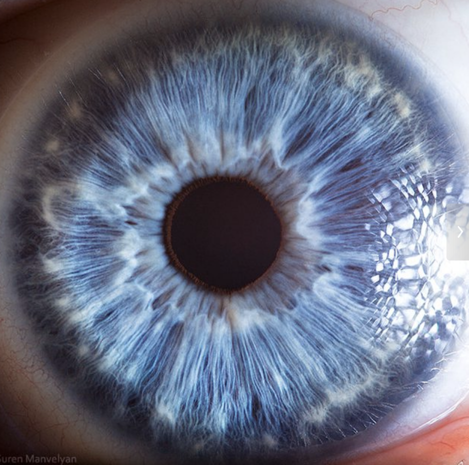 Close-up of a human eye focusing on the intricate, sunbeam patterns of the iris