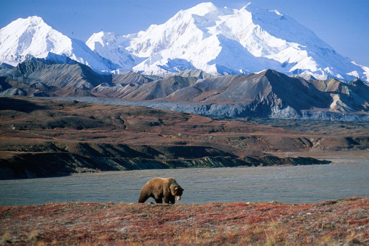 Denali National Park