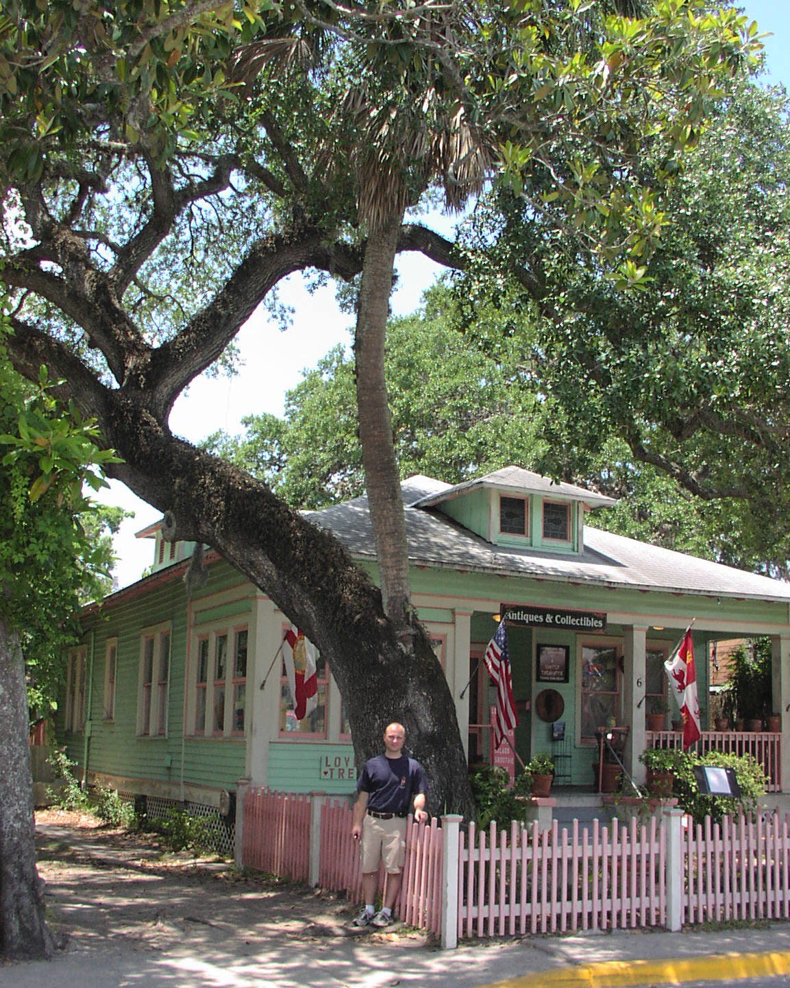 Love Trees in St. Augustine, Florida