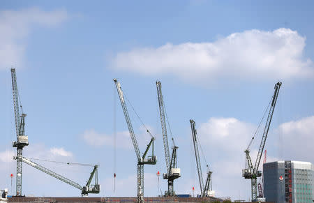 FILE PHOTO: Cranes line the London skyline on construction sites in London, Britain August 17, 2016. REUTERS/Neil Hall