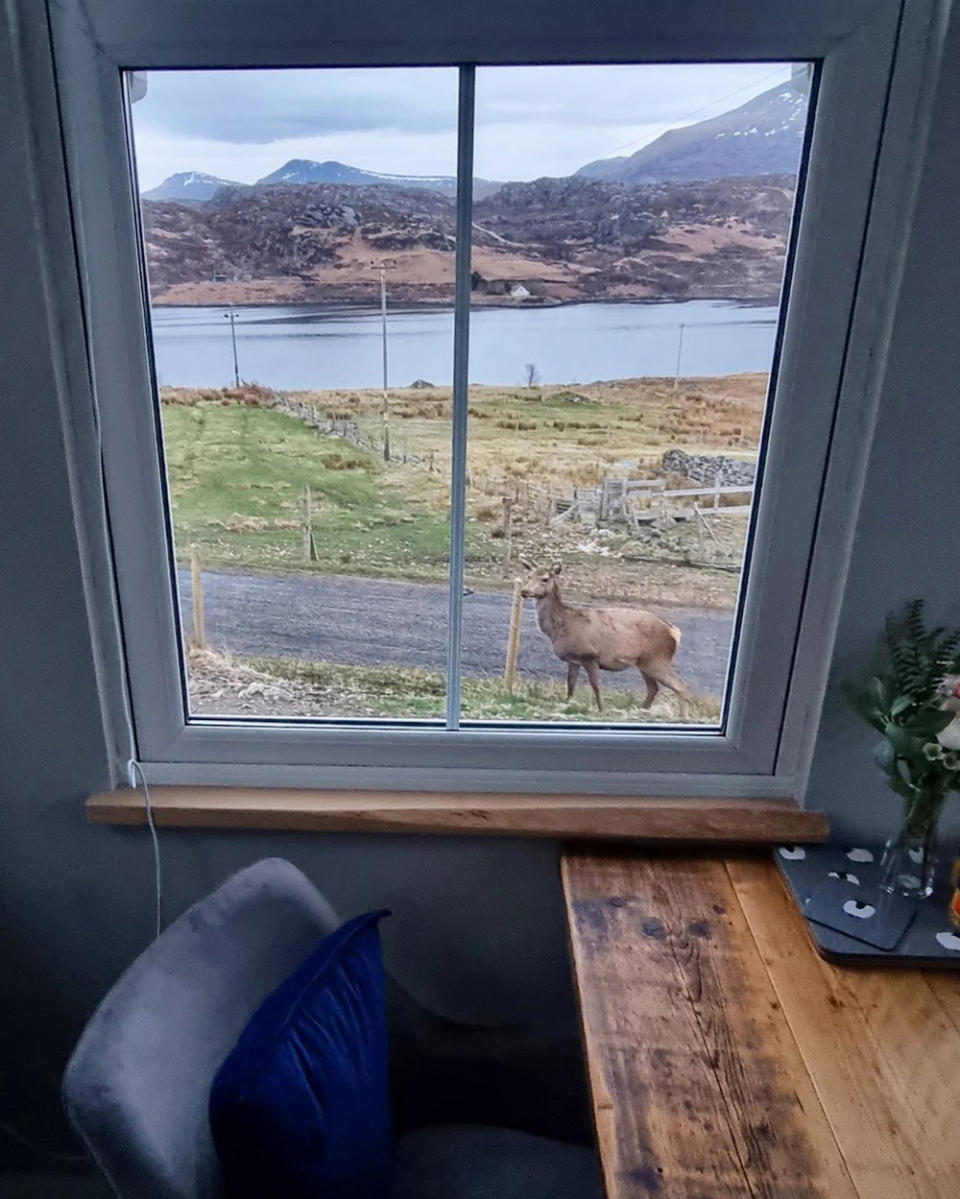 The view from Habiba’s Scottish cottage (Collect/PA Real Life)