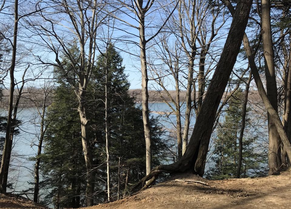 The view of the head of Presque Isle Bay, viewed from the bluff at Scott Park in Millcreek Township is shown March 21.