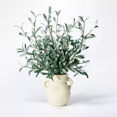 A lovely olive leaf arrangement