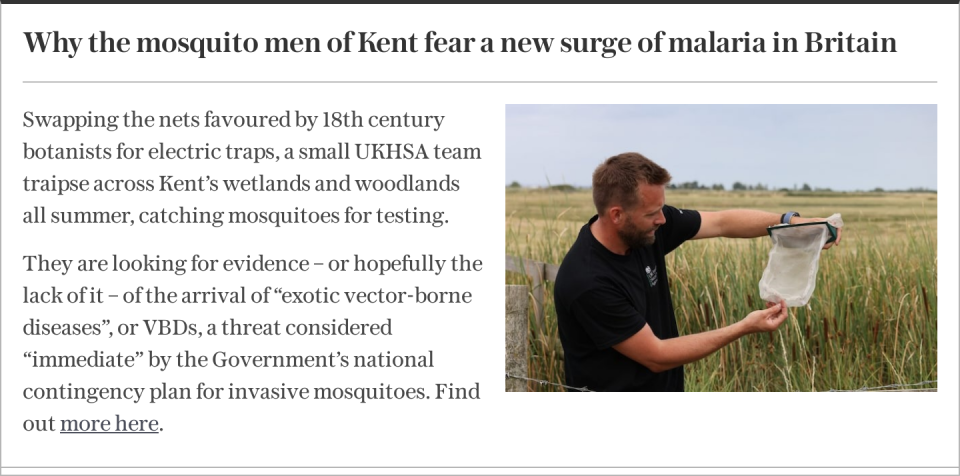 Why the mosquito men of Kent fear a new surge of malaria in Britain