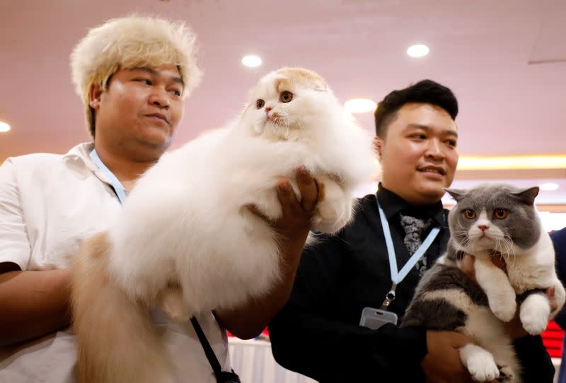 Nguyen Xuan Son of Vietnam and Tawin Prai of Thailand show their cats during the Vietnam's first cat show in Hanoi